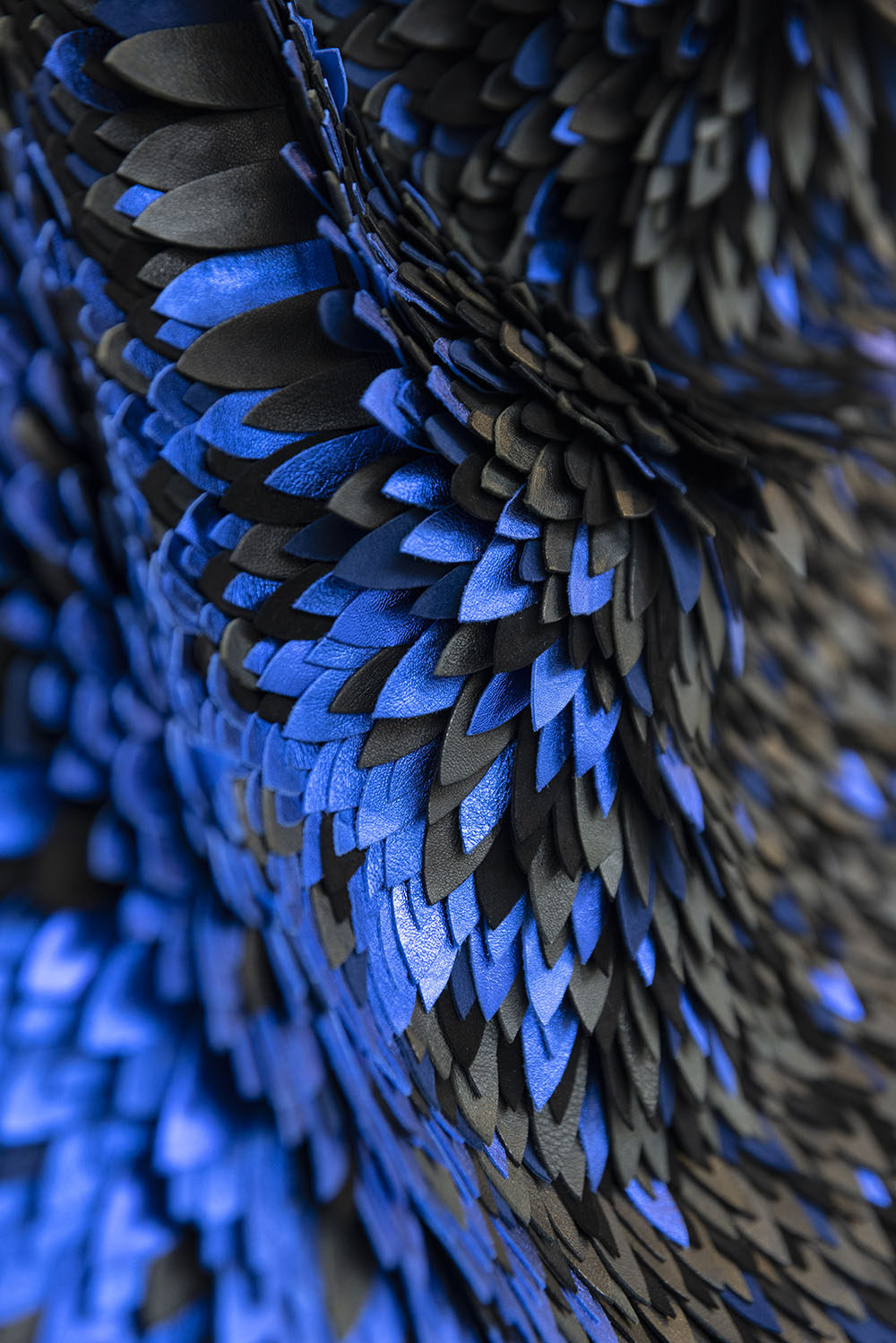 Rémiges - © Manon Badermann