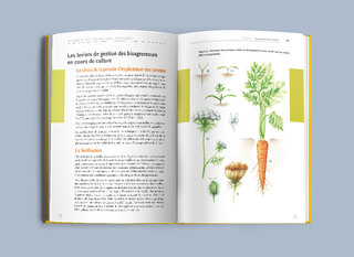 Illustration data-design CTIFL