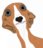 "L'ABC des chiens"