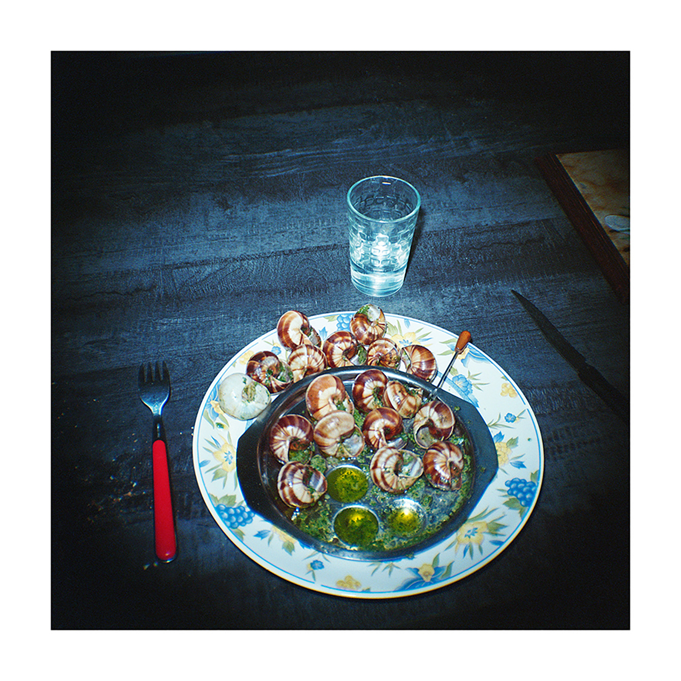 18 escargots | 18 snails