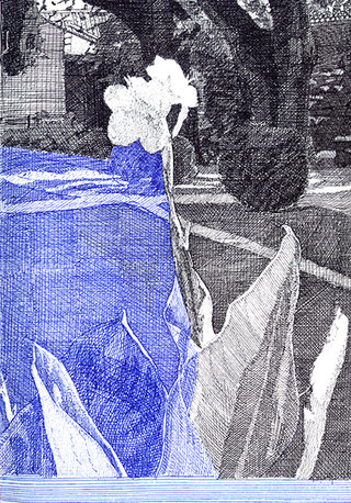 fleur 1, 2010, stylo sur papier, 20,9x14,7 cm