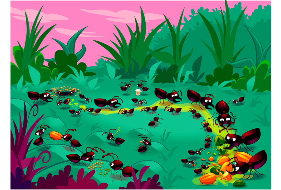 Science et Vie Découverte - Les fourmis