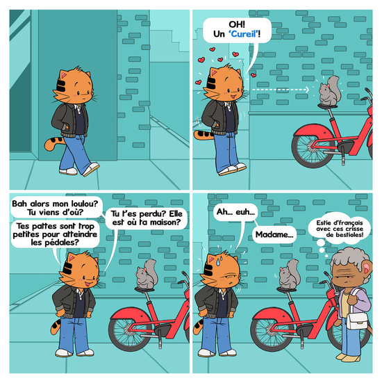 Lapilune Strip Cureuil