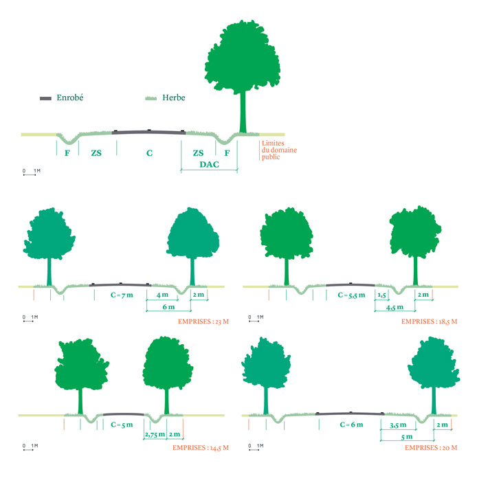 Schémas pour une brochure consacrée aux alignements d'arbres (Atelier Marge Design, 2017).