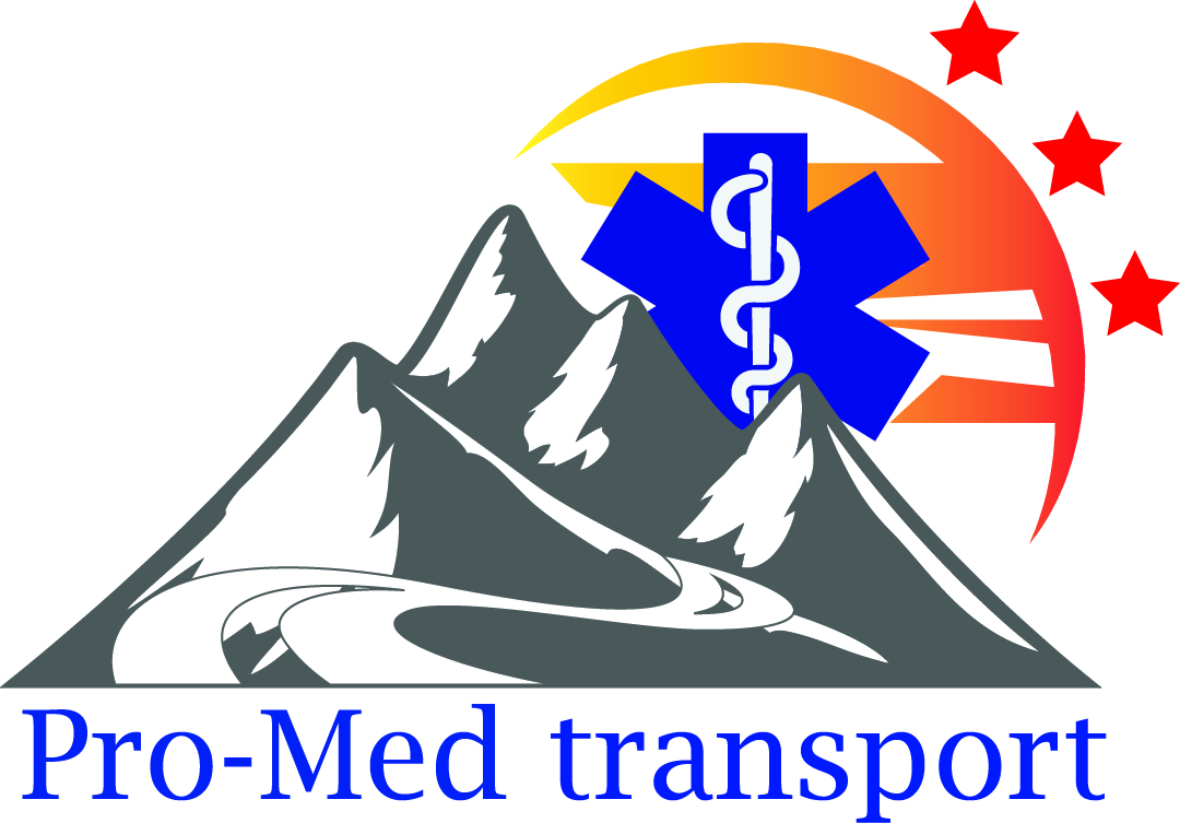 Création du logo Pro-Med transport