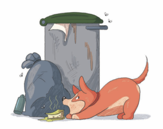 Le ouaf-Club mène l'enquête