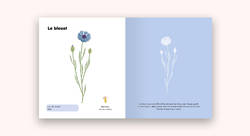 Mon premier herbier des feuilles et des fleurs - Louise Le Corff-graphiste