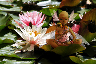 Méditation lotus