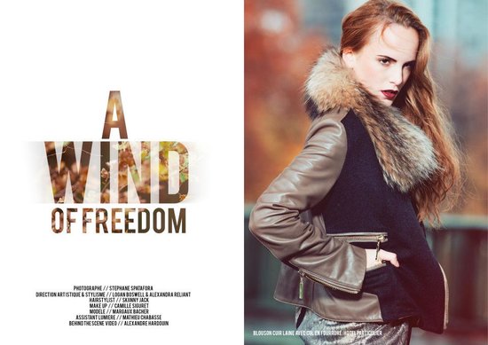 awindoffreedom1.jpg
