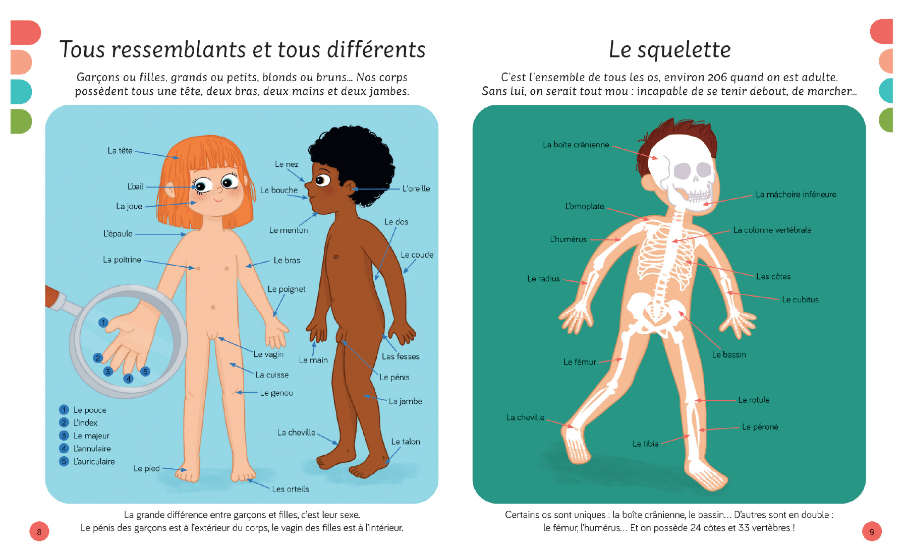 L'imagerie - Le corps humain - Fleurus Éditions