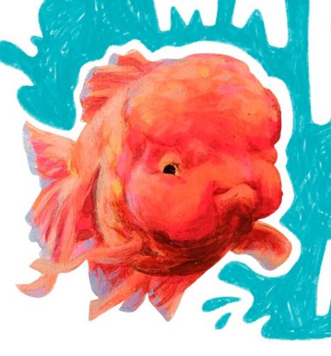 Margot Poupet-illustrateur