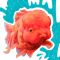 margot poupet - Illustration