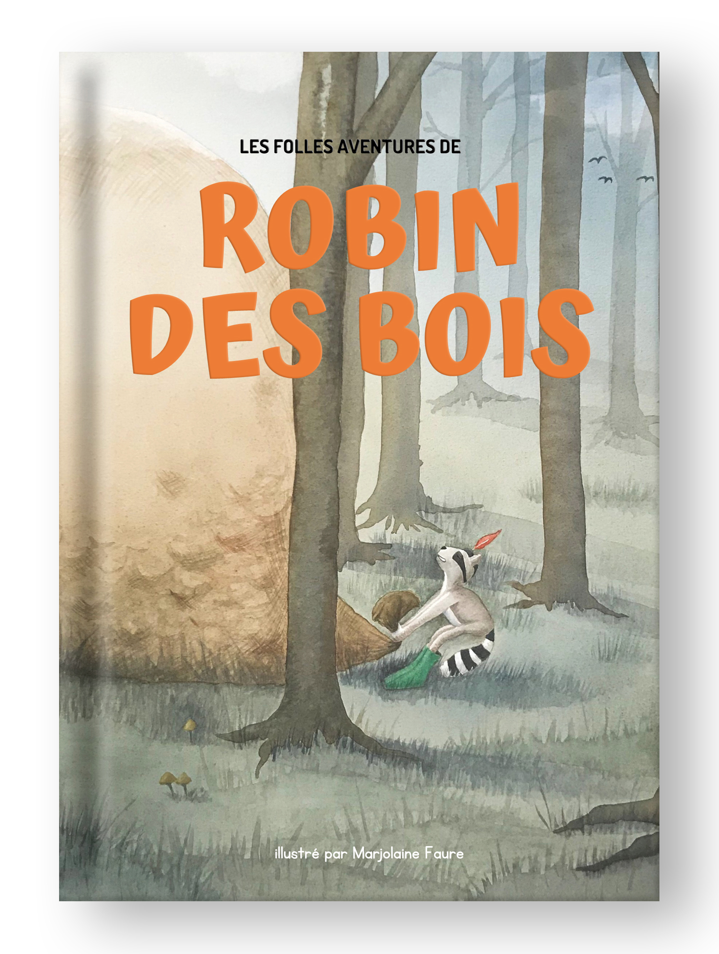 couverture livre - robin des bois