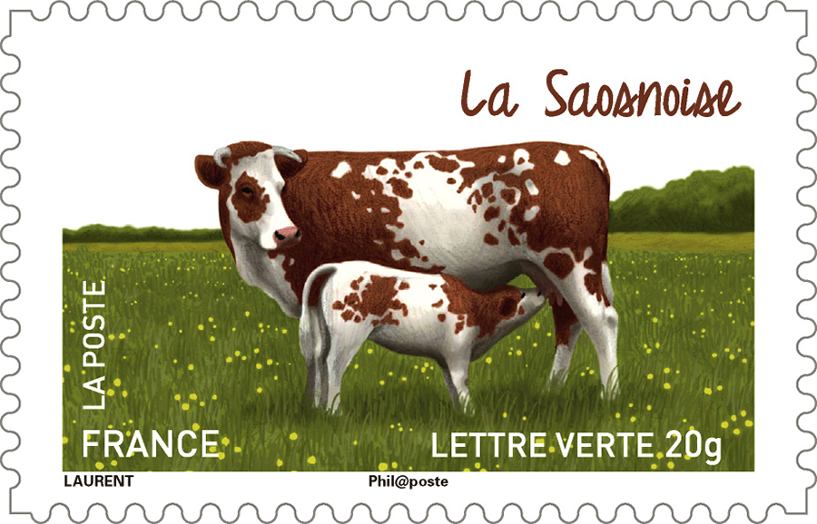Timbre sur les vaches françaises, la Saosnoise