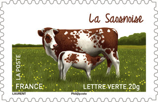 Timbre sur les vaches françaises, la Saosnoise