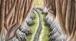 salamandre - Matthias Bour-illustrateur