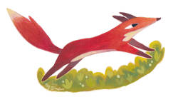 Renard - Meg Brunelliere-illustrateur jeunesse