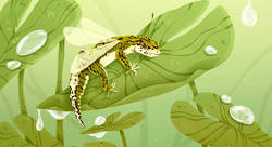 Gecko & nénuphars.jpg - Mélissa Bourdier-illustrateur jeunesse