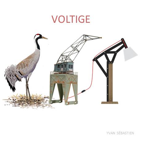 VOLTIGE (Concours CINNA 2013)