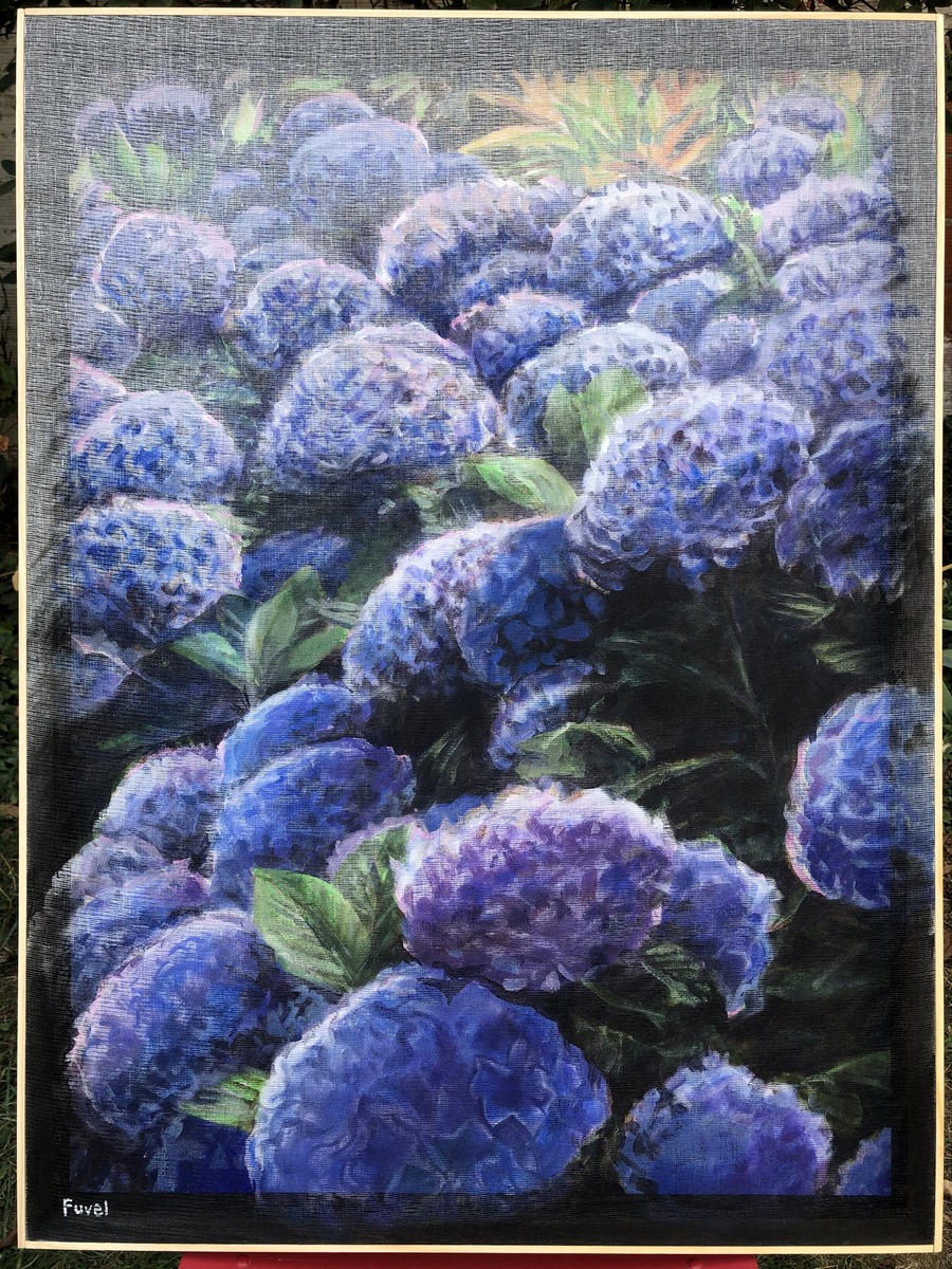 Les hortensias bleus