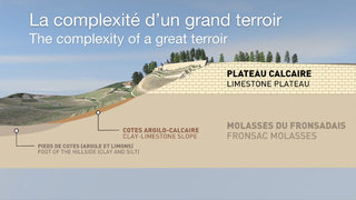 Profil du terroir du Château de Pressac