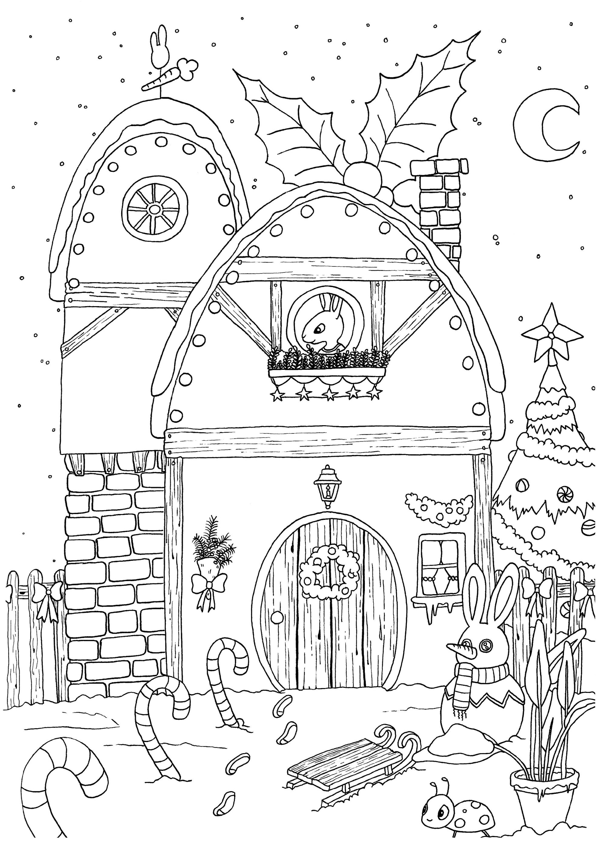 Cute Winter Town_ coloriage pour adulte et enfant_maison Noel