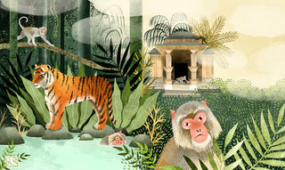 Les forêts du monde / Jungle Indienne