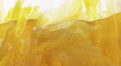 2023 abstract 8 - Rieja van Aart-plasticien