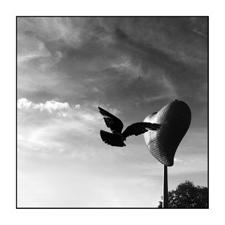 Le pigeon de la porte de Clignancourt