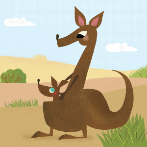 the kangaroo