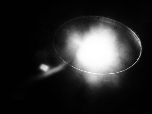 virginie blanchard-plasticien