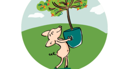 illustration pour Groupama (séminaire) - virginie Nahon-illustrateur