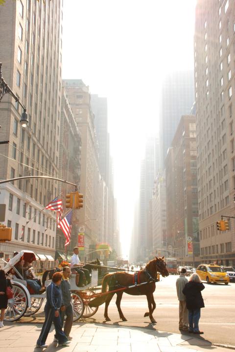le rêve américain<br/><span>New york 2007</span>
