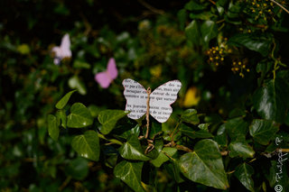 Papillons de papier